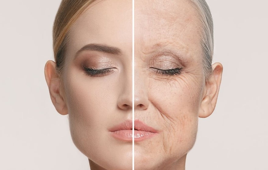 Como funciona o envelhecimento da pele? Entenda as diferenças entre uma pele  jovem e uma pele envelhecida | Galderma Aesthetics Brasil
